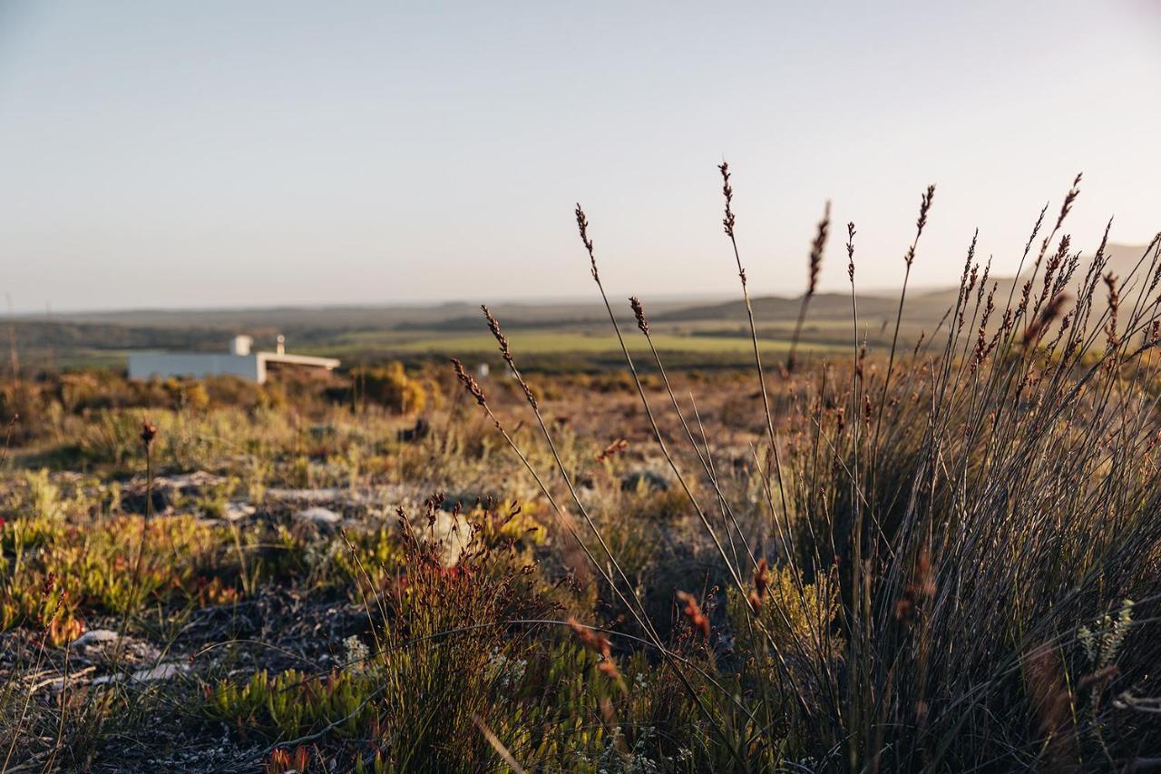 Farm 215 Private Nature Reserve Uilenkraal Exterior foto